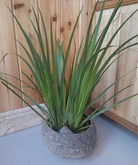 ˮ���ѣ�ɽ���ڵ�Ұ�ݣ�����������Ҳ������