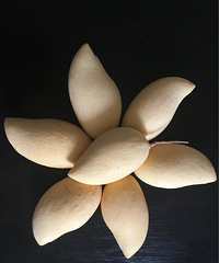 ��һ�ڴ�˵�е�������ĵ׿����˻�����