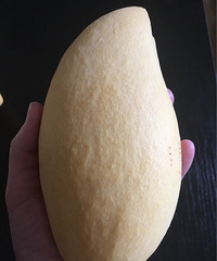 ��һ�ڴ�˵�е�������ĵ׿����˻�����