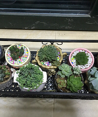 �����Ķ��⡣�в������֡�