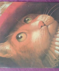 �����»汾�¡���ѥ�ӵ�è