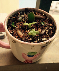 ����칫�������ֵ�СС���⣬�ÿɰ�����