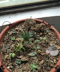 �����ǳ��������ٸ������Һÿ��ļ�