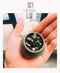 ���Ŵ����𣬲���һ������