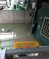 太懊恼了!每到雨季我家车库就可以划船了!!