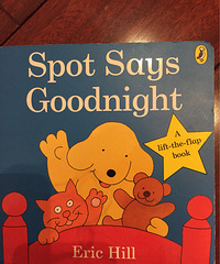 ���»汾�¡�spot��