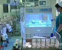 "家长注意!桐乡一新生儿如此治黄疸,差点引发败血症"