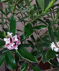 ���ܵ�19¥�����軨��ѧ����ɶ����