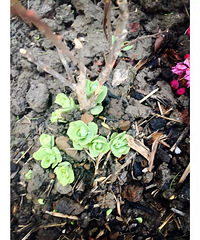 �����ʲô��