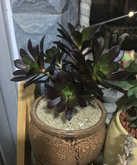 �ڷ�ʦ��������