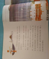 �����»汾�¡�������