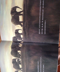 ��4�»汾��+Ѱˮ֮��