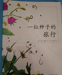 �����»汾�¡�һ�����ӵ�����