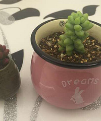 �������ˣ�һ��������ƺ���