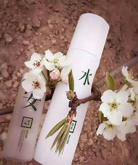 任何为人称道的美丽,都不及第一次遇见的你