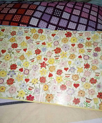 ���»汾�������衿