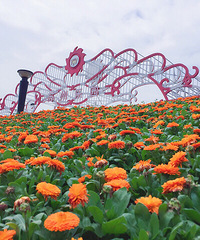 4月9日苏州乐园一日游