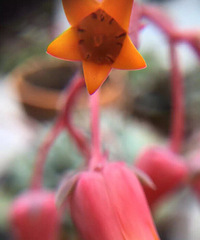 �ֻ�΢���ĵĺÿ���