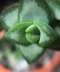 �ֻ�΢���ĵĺÿ���