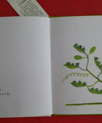 �����»汾�¡�����һ�޶����Լ���������һ