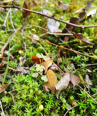 ��ͷ�����£�������