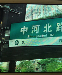 这几个路牌实在看不下去了 走走心行不行啊