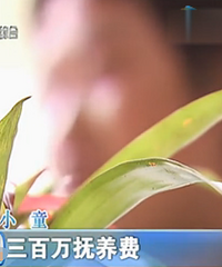 С��ײ�����ӳ���������򣺸��������˴��ߣ�