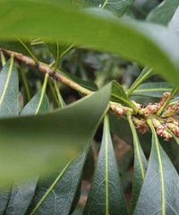 �²�����ɶ