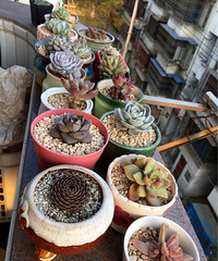 �ҵ���Ӽ�¼����Ͳ��������������