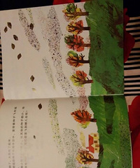 �����»汾�¡�С����