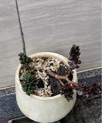 �ҵĶ���������ø��ˣ����ܴ�¶����