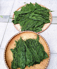 "好吃的海苔"