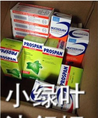 �¹���̹��С��Ҷ��ϳ�