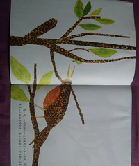 �����»汾�¡�һ���