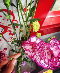 ��ɹ�칫����ֲ��+һ��һ���� һ��һ����