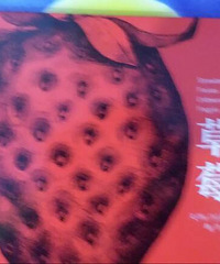 �����»汾�¡�����ݮ��