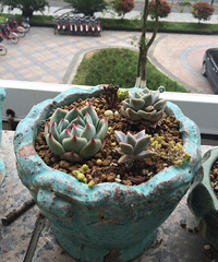 �칫�ҵ�����Ͱ�ţ