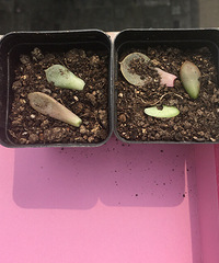 ���Ͷ��⡣