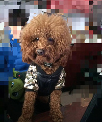 lucky������ ���˿�����