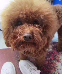 lucky������ ���˿�����