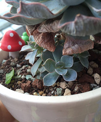 �ϸ�����ð�˼���С�ģ�Ҫ��ô������