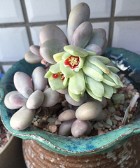 �ϸ�����ð�˼���С�ģ�Ҫ��ô������