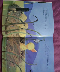 �����»汾�¡��簲������˯���þ�