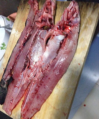 �������ߵ����ڸ�ʲô��ɱ������