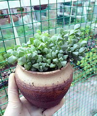 �����ʲô��¹�Ǻ��ģ���������ŭ�Σ��׷�գ�