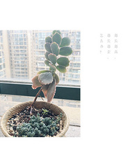 ��������ô�ƣ�