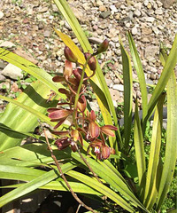 �ҼҵĴ����������ˡ�