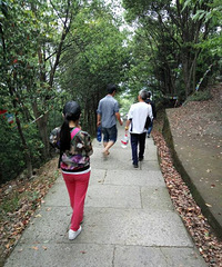 ����Ƭ���һ��