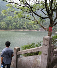 ����Ƭ���һ��