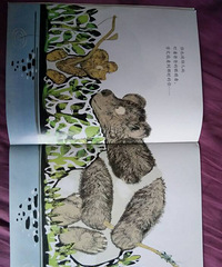 �����»汾�¡��ҺͰְ�